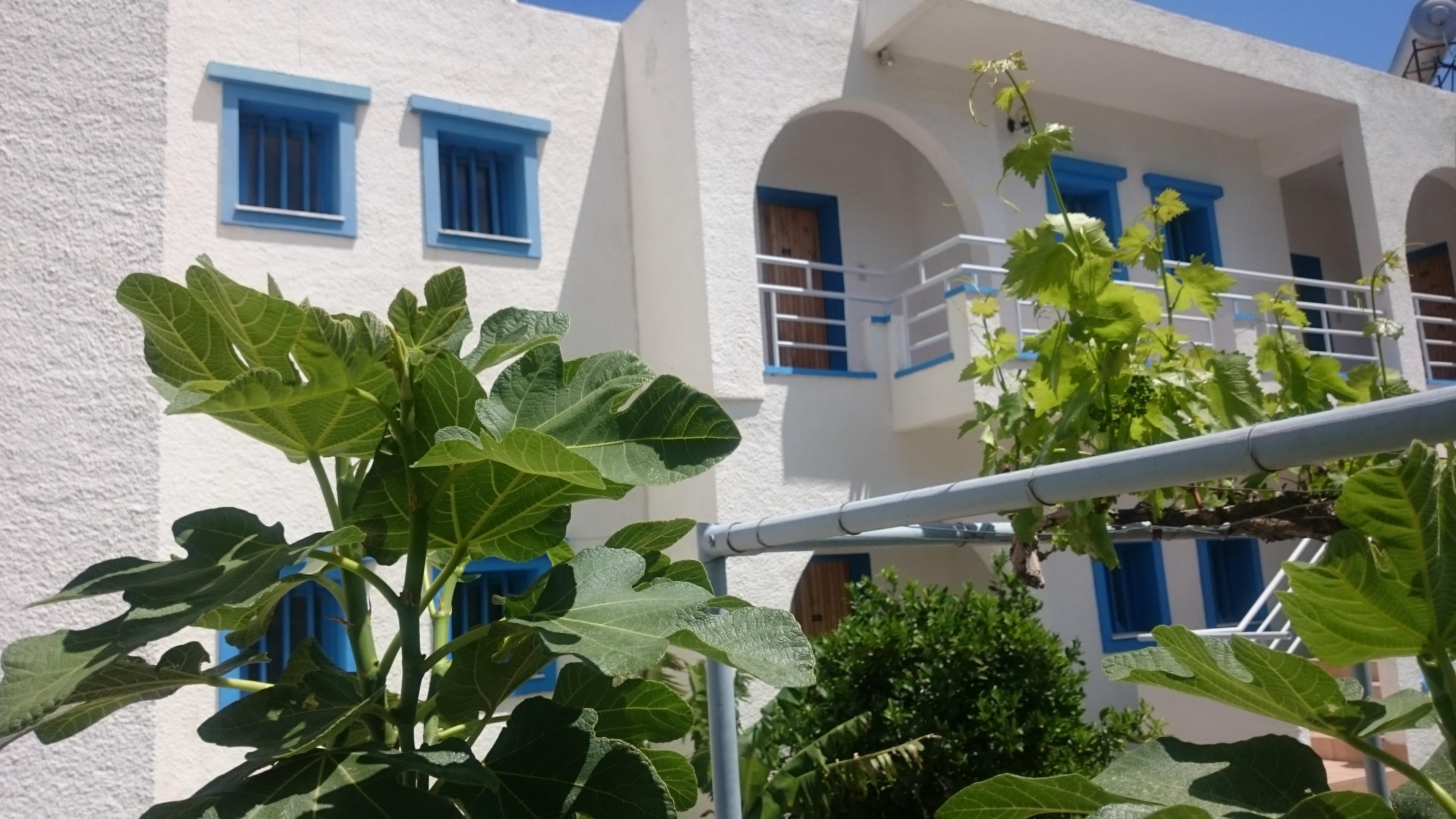 Amazones Villas Apartments Hersonissos  Exteriör bild