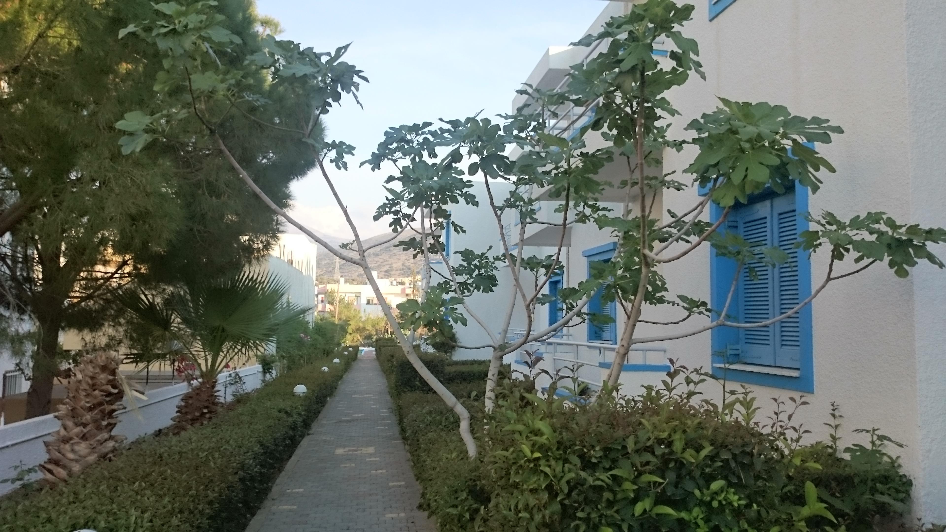 Amazones Villas Apartments Hersonissos  Exteriör bild