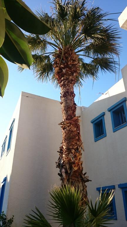 Amazones Villas Apartments Hersonissos  Exteriör bild